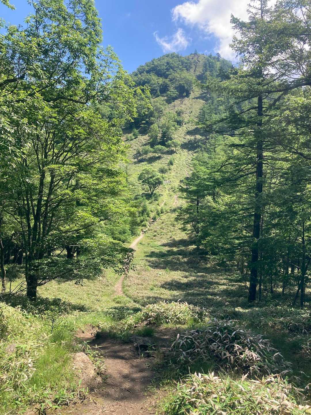 笠取山見えた❗️
直登エグい〜‼️