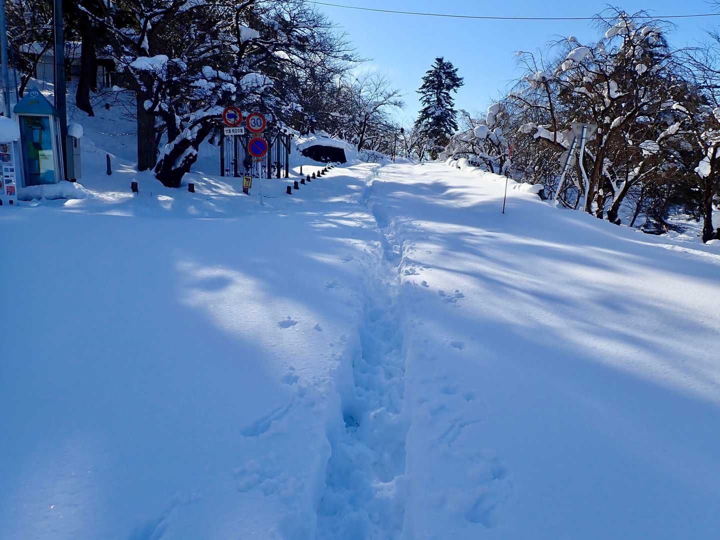 いい天気。