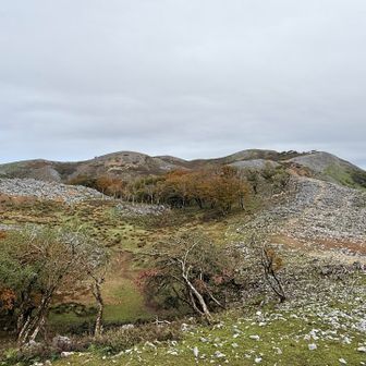 異世界に来たみたいな風景