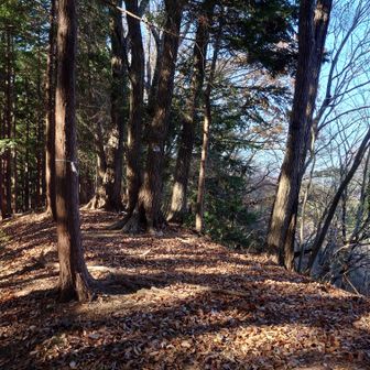 山頂全景
やれやれ、もうこれで極端な上りは無いはずです😃