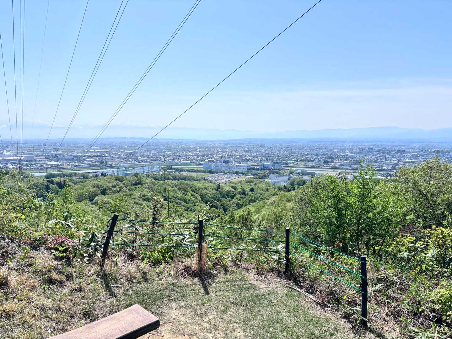 二上山-大師ヶ岳 往復コースの写真