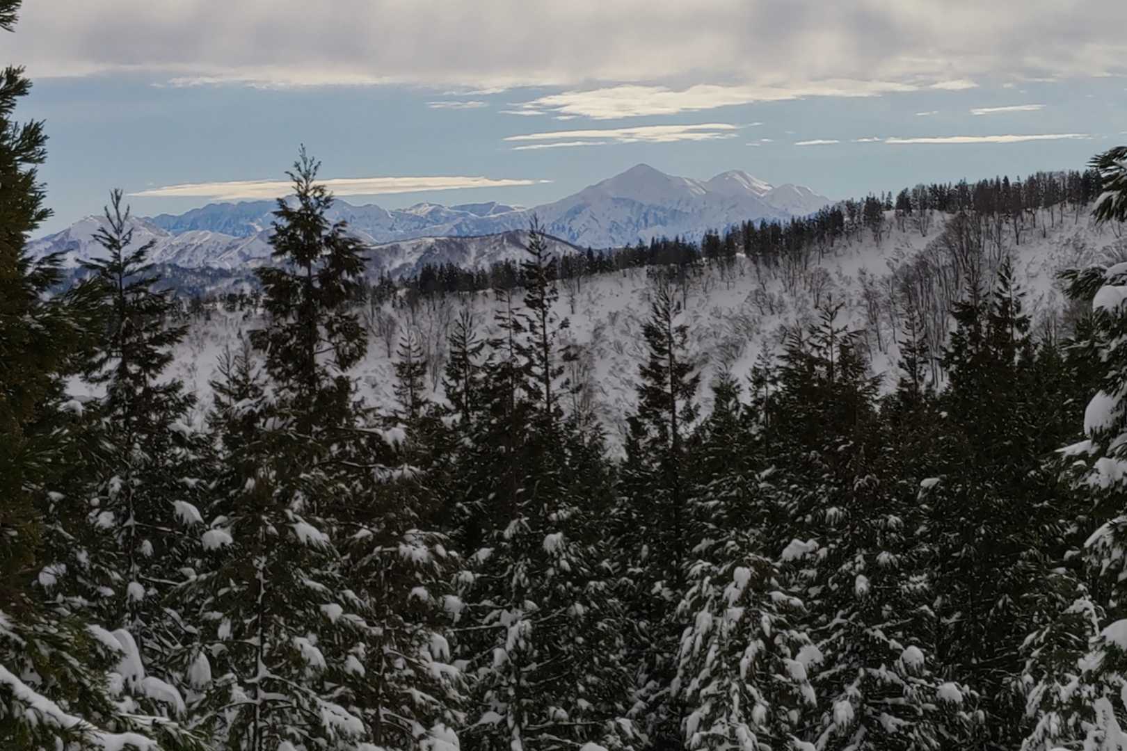 談合山の山頂から