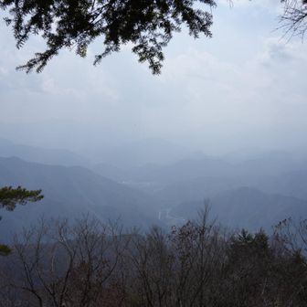 今日は全く富士山が見えませんでした💦
見晴らしが良い山頂です✨但し、ここから杉平バス停への下りはかなり急で、さらさらの砂、落葉という嫌な組合せなので注意です⚠️