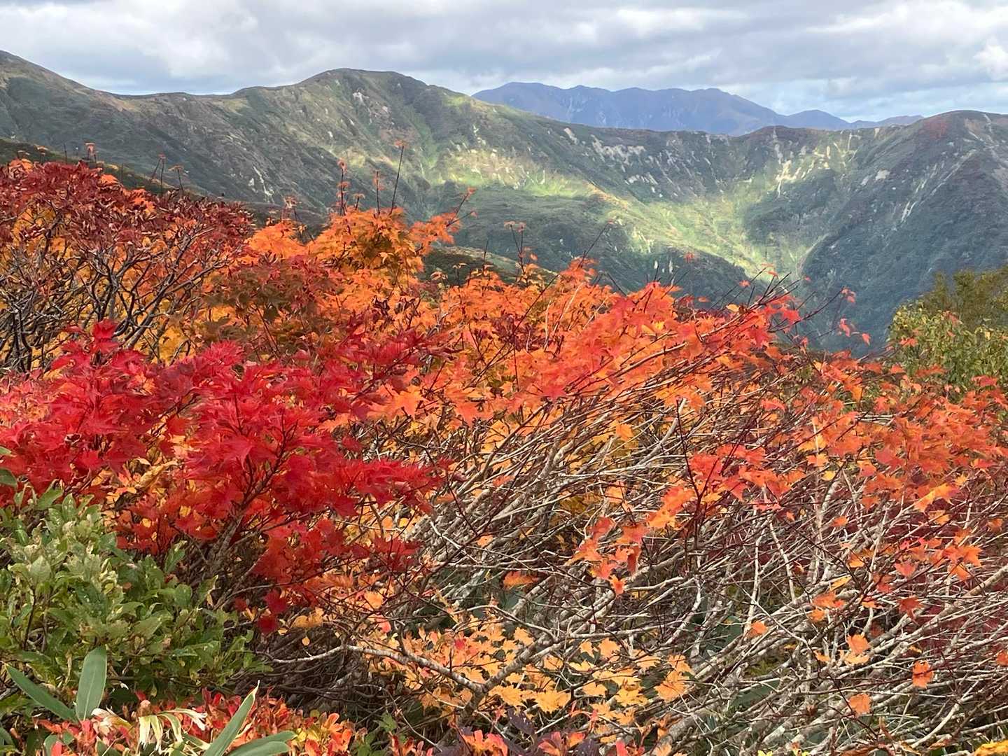 小朝日岳に向かう途中から以東岳遠望