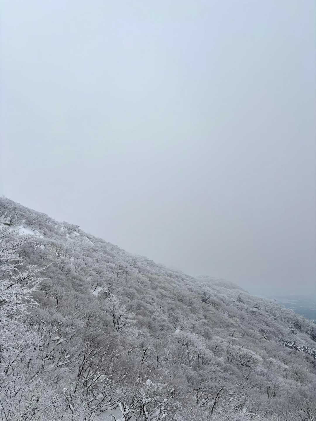 綺麗