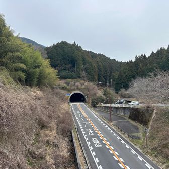 道路を越えて