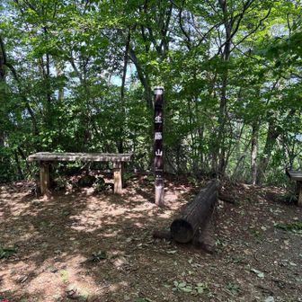 生藤山
ここも眺望ナッシング