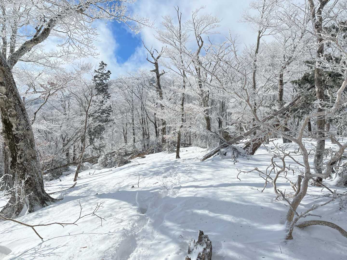 木屋谷雨量観測所-桧塚奥峰登山口-桧塚-桧塚奥峰-明神岳 往復コースの写真