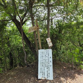 本丸跡