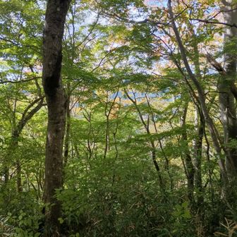 月居山頂　
少しだけ色付いてきた程度
