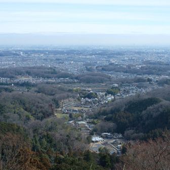 この辺りで前回歩いた八王子城跡のルートと合流