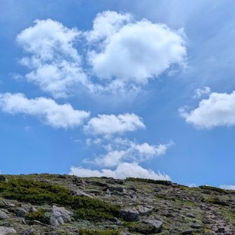 胸いっぱいに空気を吸って緑岳めざします。もうヒグマが出てこないことを願いながら