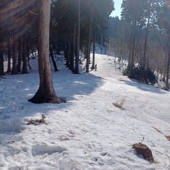やっと大海里峠に着きました…やれやれ