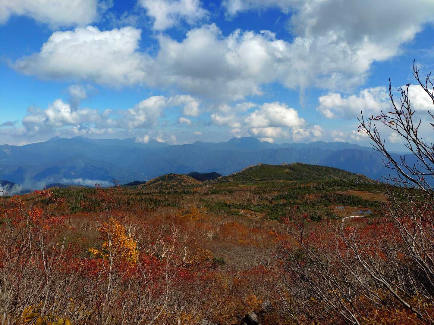 栂池ロープウェイ 自然園駅-栂池登山道入口-天狗原-乗鞍岳 往復コースの写真