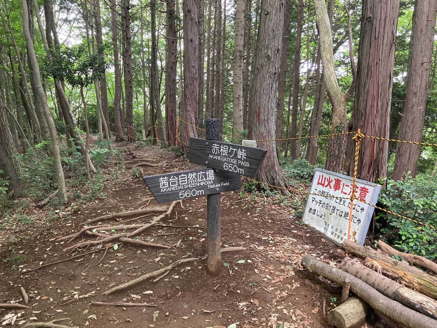 他のコースと合流。今日はここまで。
