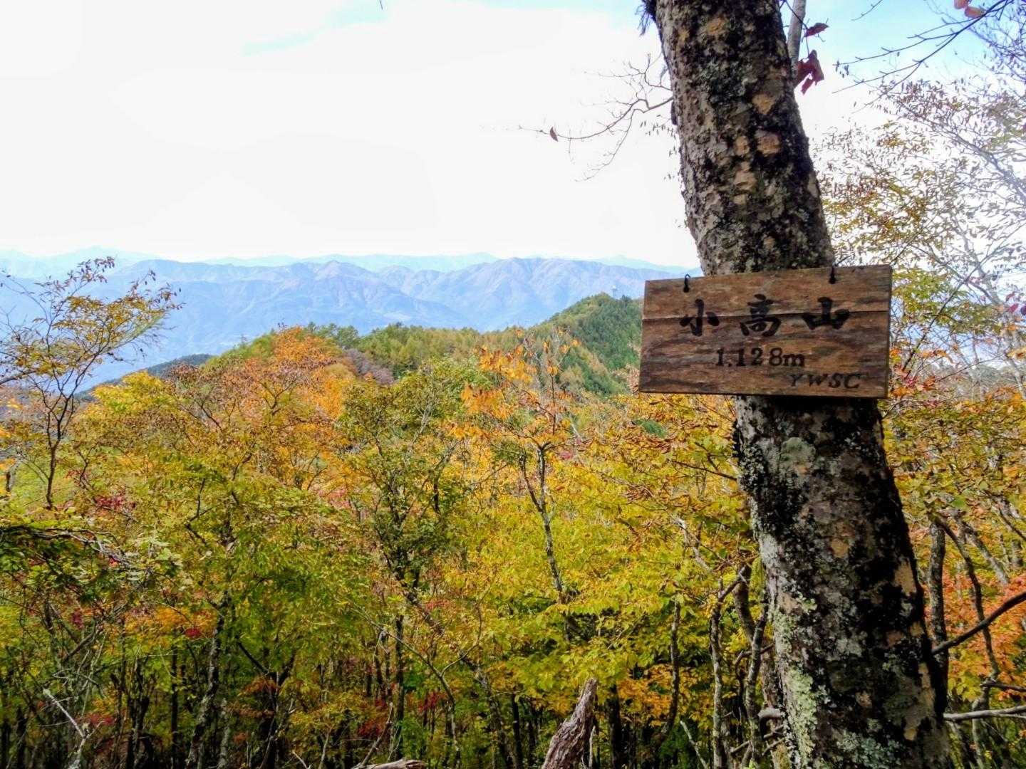 ルートから外れ小高山⛰️に寄り道
ピークハント👍