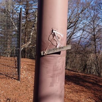 山頂標識（の下半分😅）