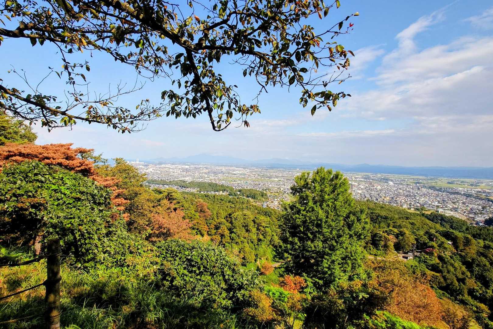 本丸前
お城を建てるにはもってこいな場所☝️
左に直江港、日本海が見える🌊
手前の山の奥に妙高山や火打山がある

林が広がる風景は慶長二年（1597年）に描かれた越後国絵図の景観とほぼ変わらないって凄い！