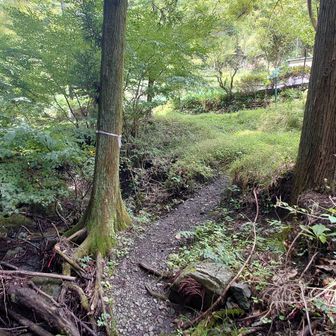 渡り終えたら道路に出ました。池ノ山ルートはここから入ります。