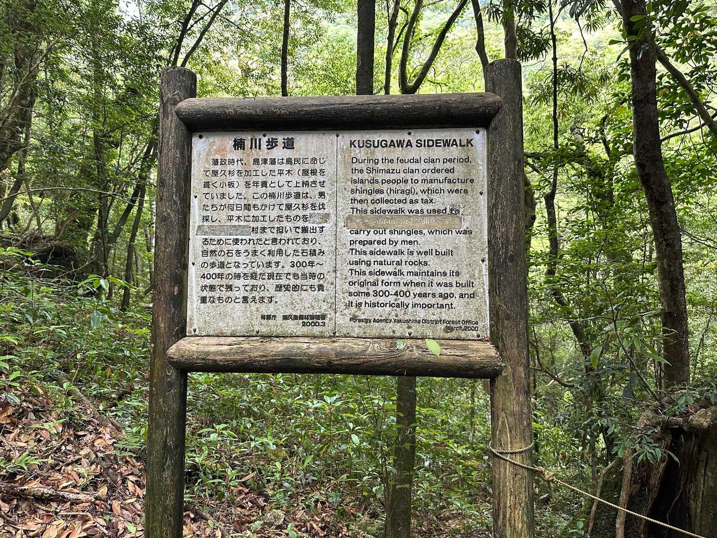 江戸時代に屋久杉を材木として搬出するために整備された楠川歩道の石敷きの道に入っていきます。