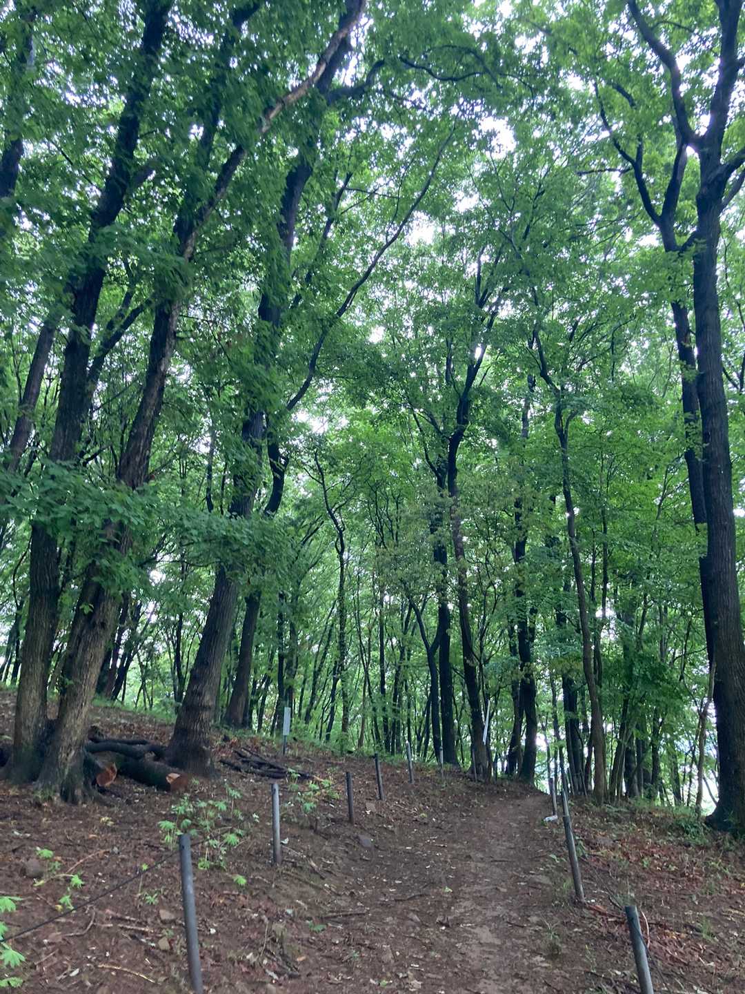 写真だと爽やかだけど、湿気でジトジトです💦