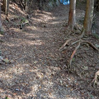 市屋峠も急ですな(;^_^A