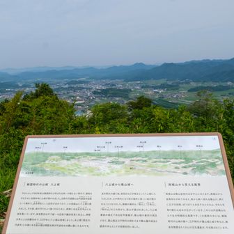 中央やや左に『篠山城趾』が見える