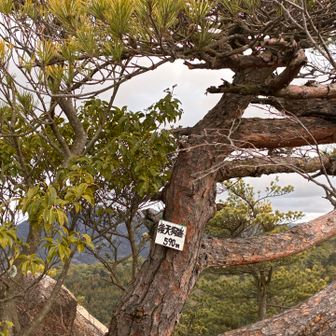 後天狗岩からも眺望よし‼️