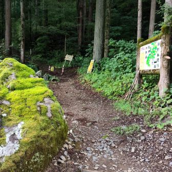 大正寺登山口は久しぶりです。いや文殊山本峰自体が久しぶりです。