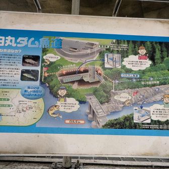 魚の道。
ダムがあると、魚が遡上できなくなるので、そのために作った道だそうです。優しい世界だなあ。