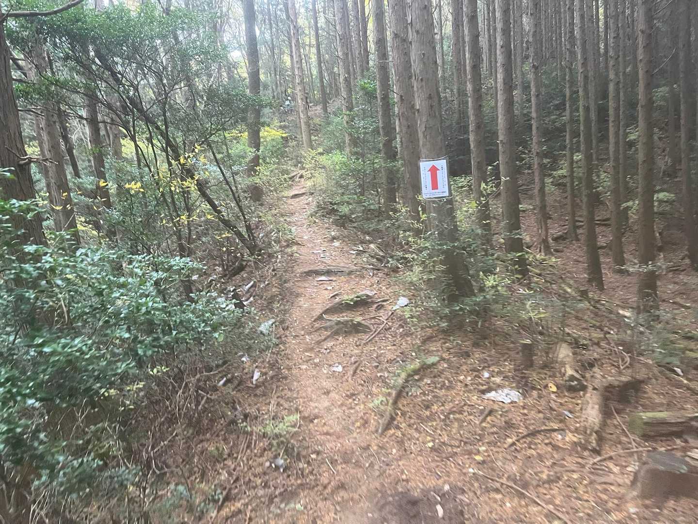 自分への記録