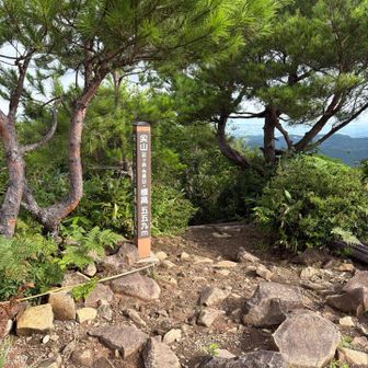 山頂に到着です。

直下で、友人、toyamaさん、多くの常連さんとスライド。到着時、混雑は一段落？、休日の割には空いていました😊