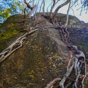 意外と一気に降りてきた