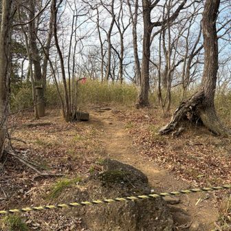 山頂へは入れませんでした。