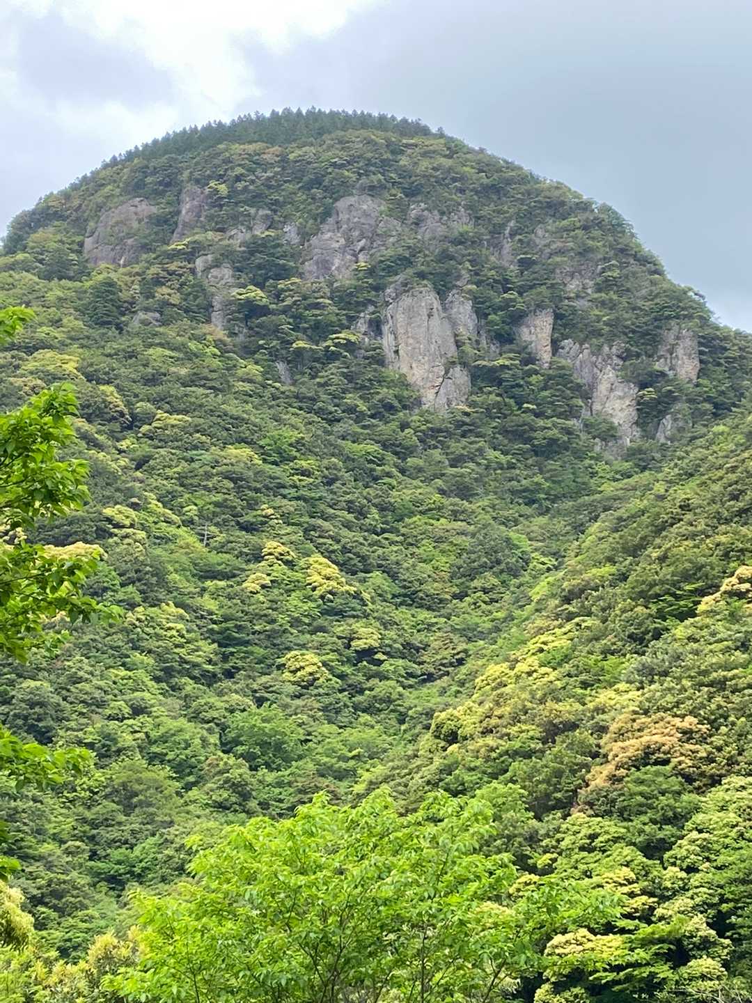 白滝登山道入口-白滝山-白滝入口 周回コースの写真