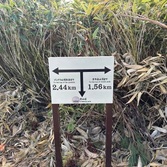 分岐まできました