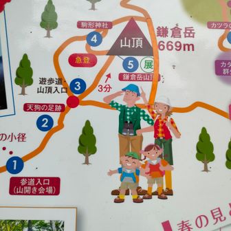 山頂の下を一周できるので歩くのも楽ししそう❢