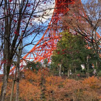 よく見ると…もみじの滝