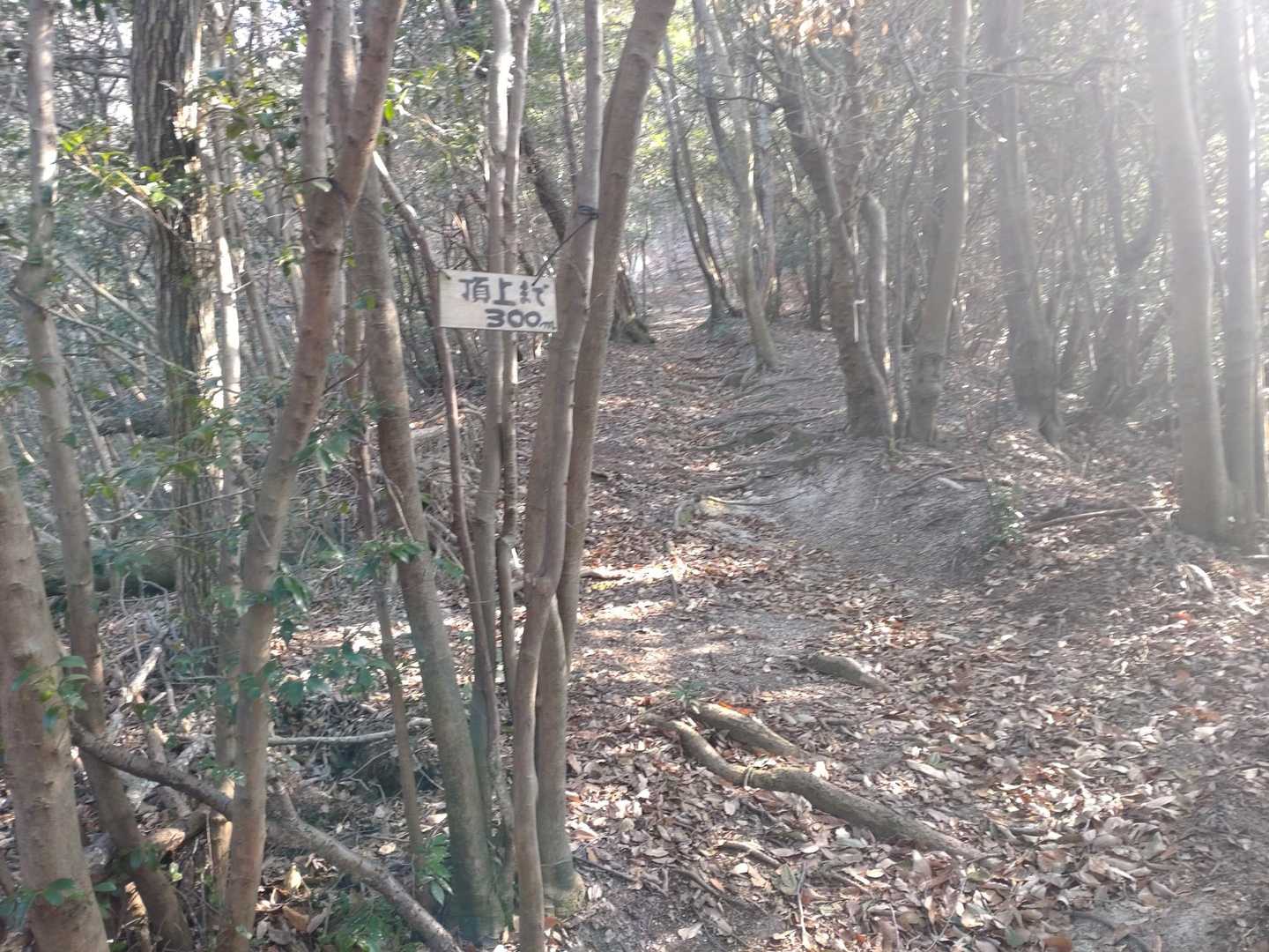 あと300m
だんだんと急登になってきます。
