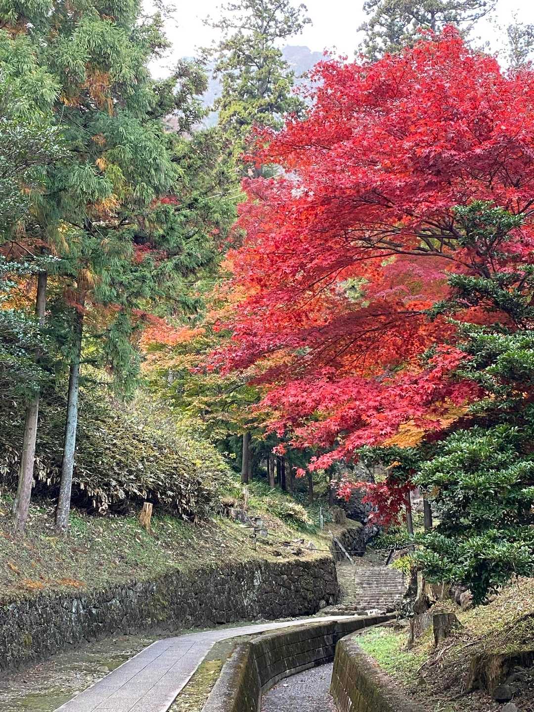 安全登山ありがとうございました😊