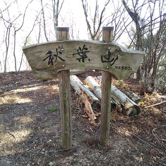 グレピの秋葉山ゲット✌️
ザレ落葉の急下りと登り返しが
今日一疲れました。