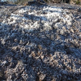 霜群、帰りは溶けて滑りやすかったー