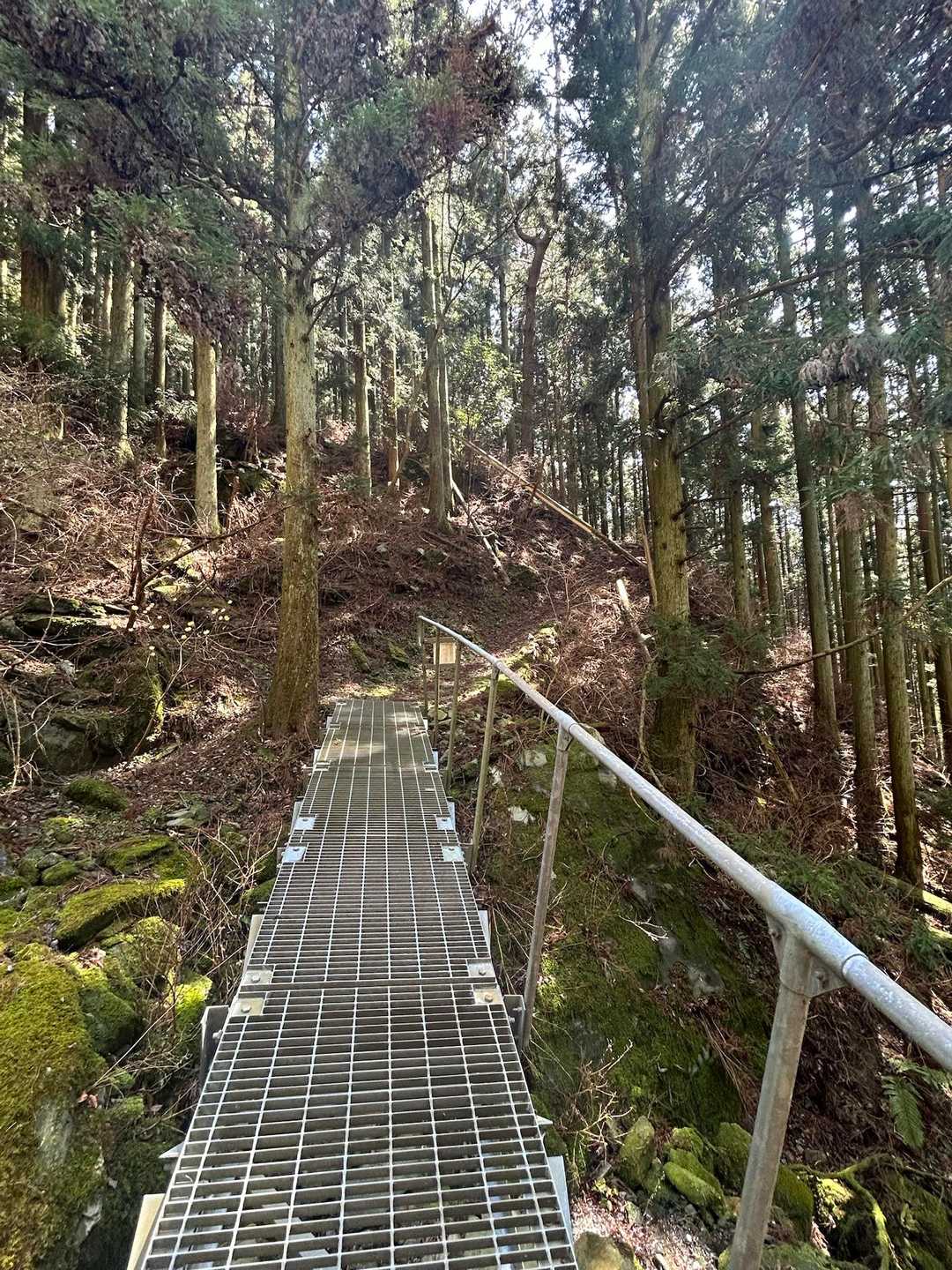沢を渡る橋