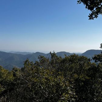 反対側を見るとこちらにも右に平らな山が
遠くから見て気になってたのは切間の八だったようです
