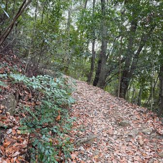 最高に気持ちいい道！