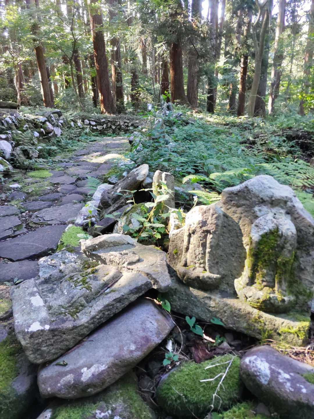 白山禅定道入口-三頭山-法恩寺山 往復コースの写真
