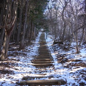 急に現れた長い木の階段😭
