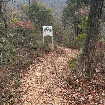 迫間山山頂付近は走行不可でした