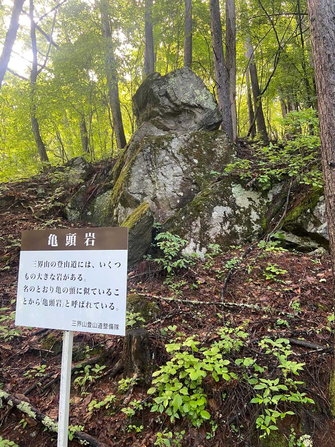 うん、見える👀🐢頭🪨