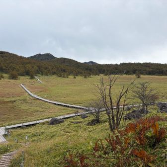 ボーッとしてみる。